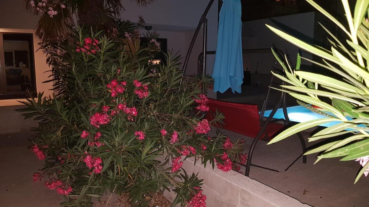 Apartments Star With Pool Biograd Na Moru Eksteriør bilde