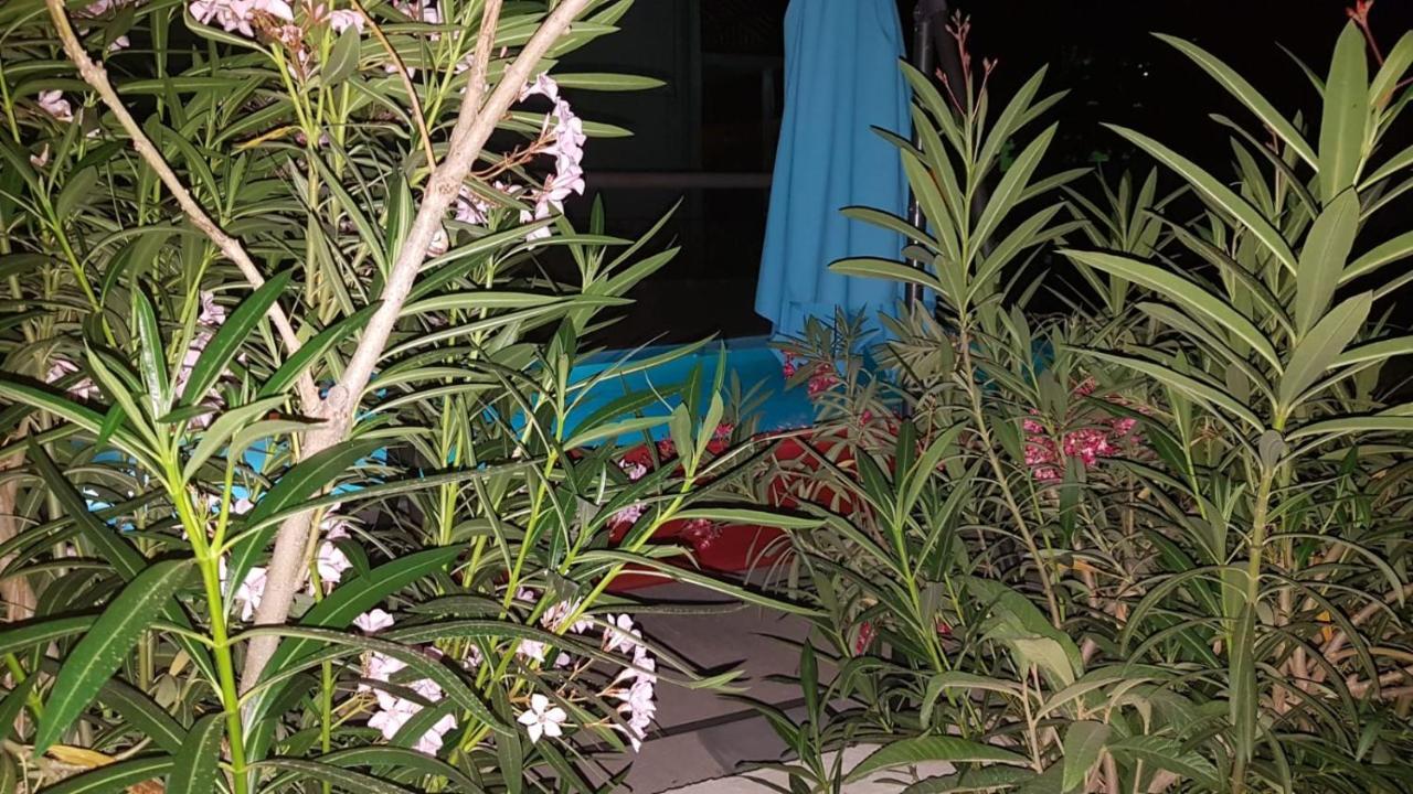 Apartments Star With Pool Biograd Na Moru Eksteriør bilde